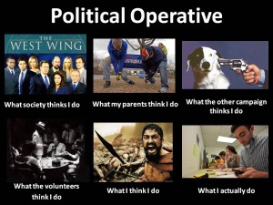 Political Operative