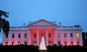 Pink White House