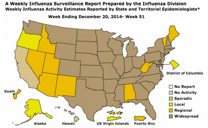 CDC Declares National Flu Epidemic