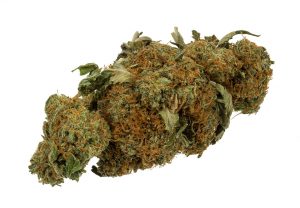 marijuana cannabis weed pot