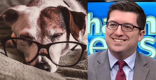 CHASING NEWS: Save Jersey’s Matt Rooney blasts N.J. ‘dog lawyer’ bill