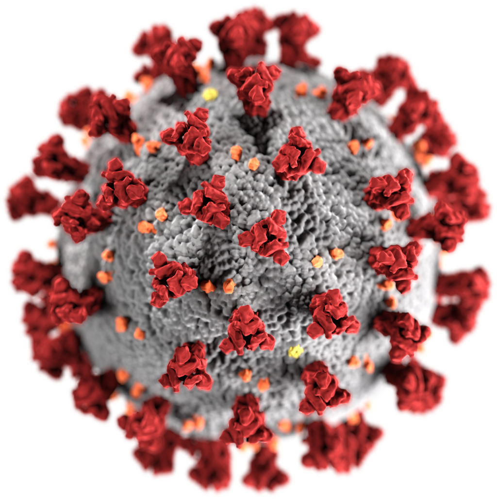 Coronavirus Explained: The Media’s unyielding obsession with money, Trump, and disaster porn