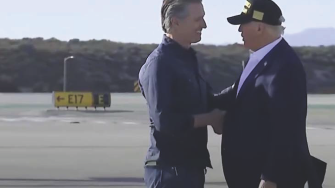 trump newsom