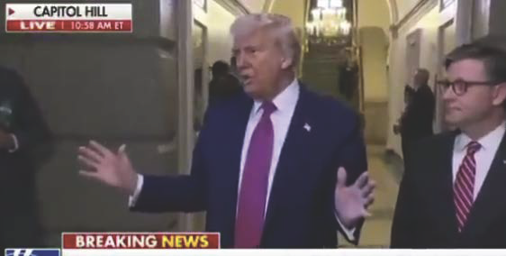 trump mciver