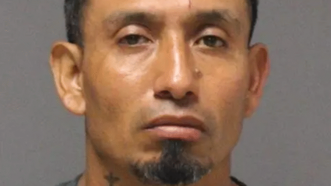 Illegal alien